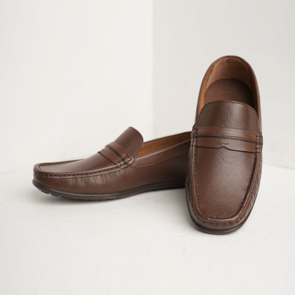 Dario Leather Penny Loafer in Brown
